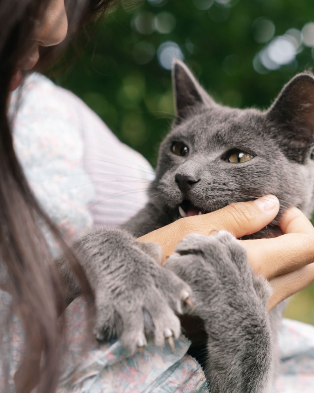 [Course title] live veterinary CE workshop