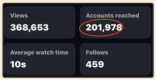 PLACEHOLDER — IG insights screenshot: 368,653 views / 201,978 accounts reached / 459 follows