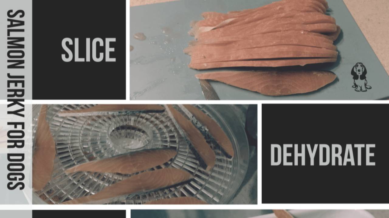 Natural Healthy Salmon Treats for your Dog