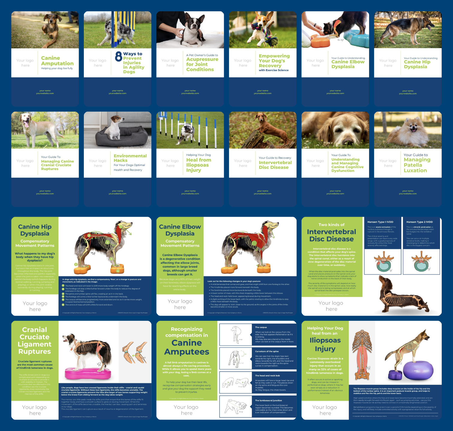 Veterinary Rehabilitation Client Resources - collage of guides and posters
