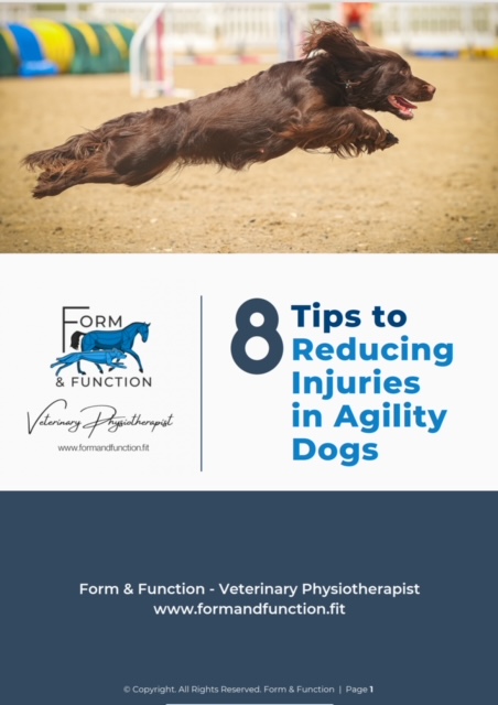 Agility injury-prevention guide rebranded by a veterinary physiotherapist client with their own logo and colours