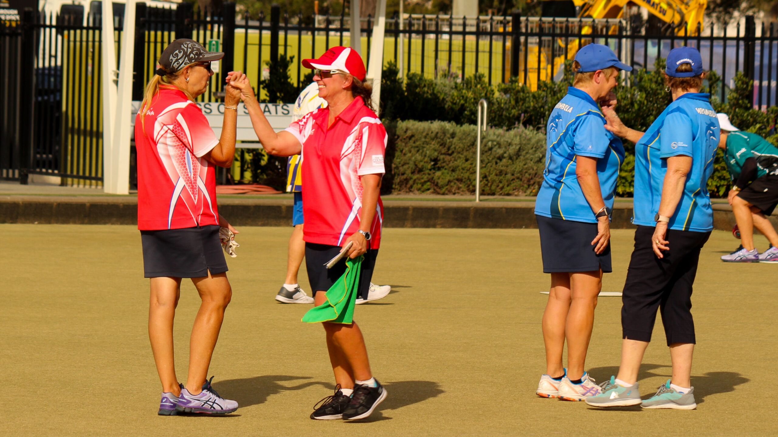 lawn bowls pairs