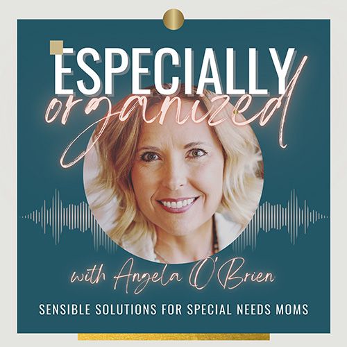 Especially Organized: Sensible Solutions for Special Needs Moms Podcast