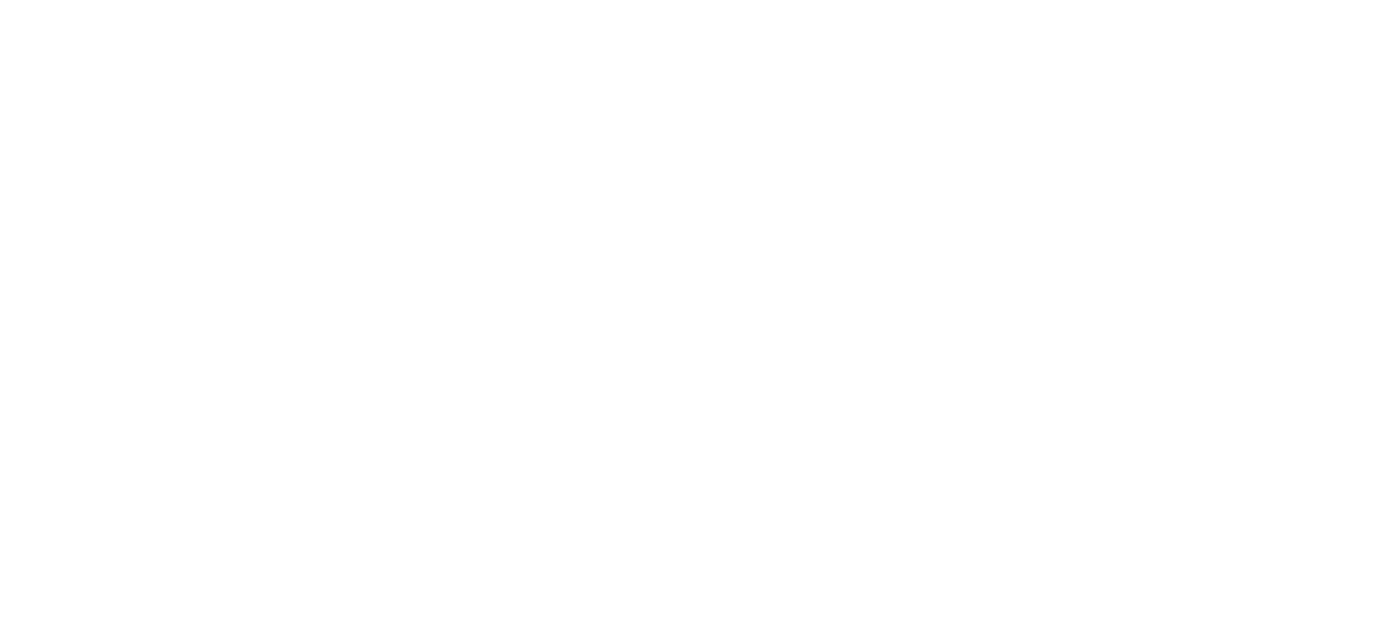 NATIONAL SPECIAL EDUCATION ADVOCACY INSTITUTE