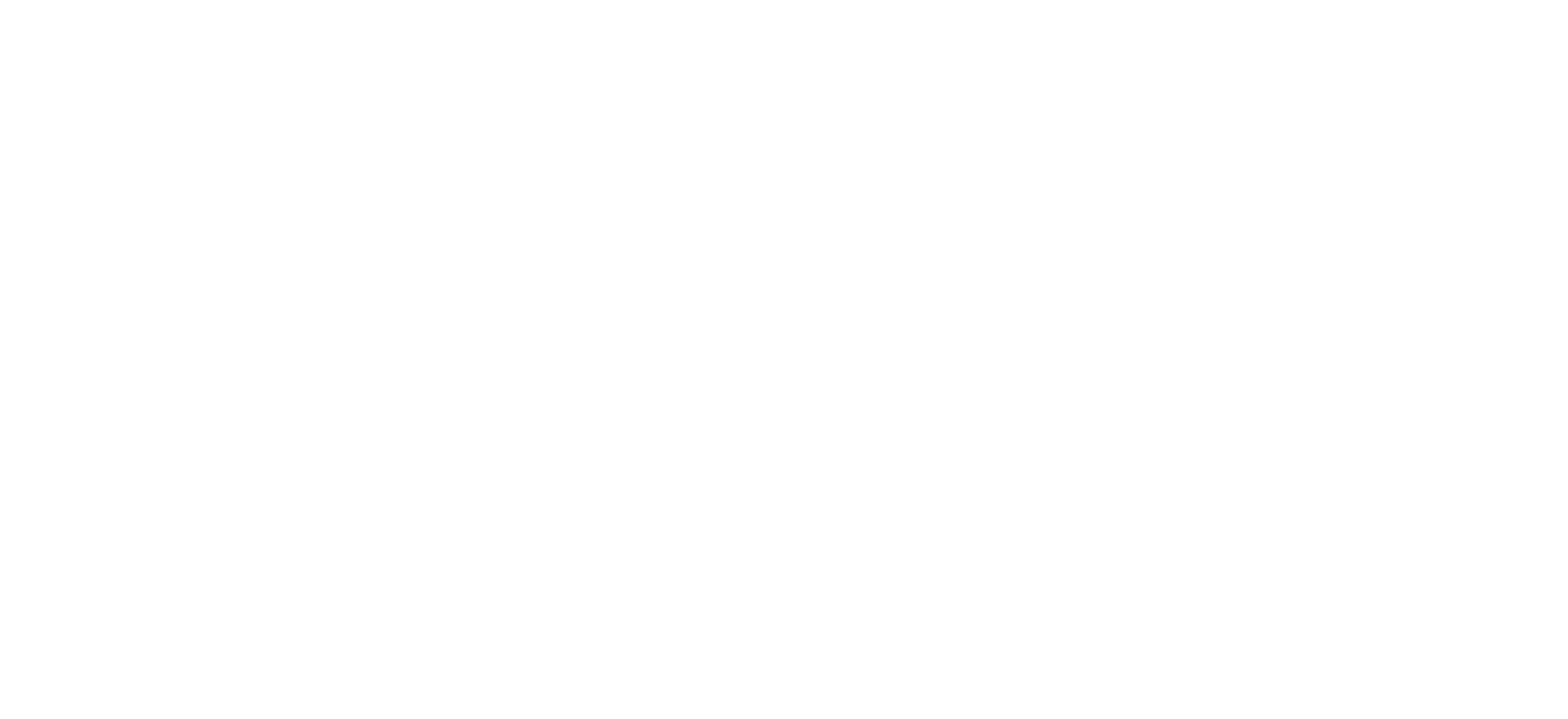 Youth Champions Ignighting Potential