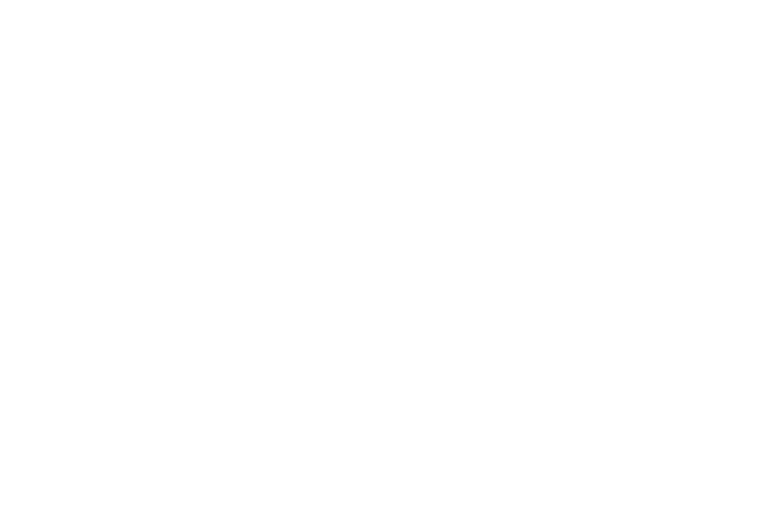 Life Skills Advocate