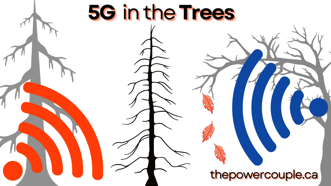 does 5G kill trees