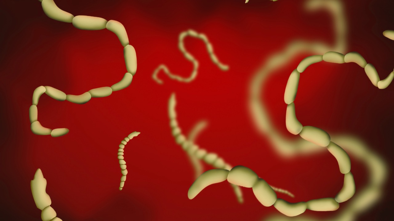 Cómo saber si tengo parasitos intestinales