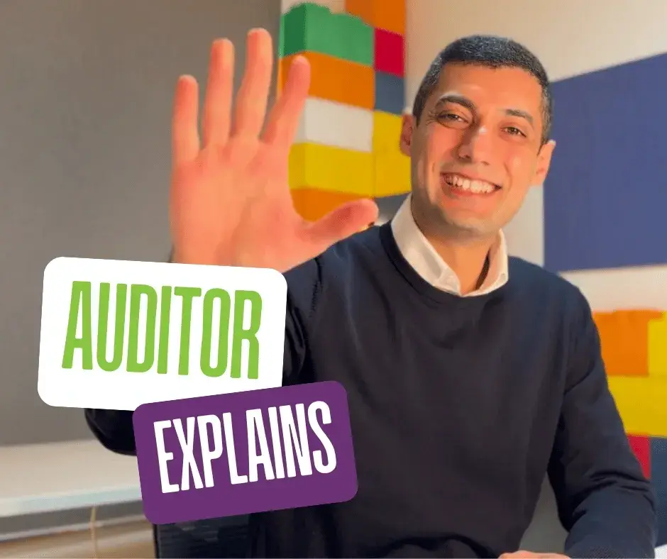 Auditor Explains Image