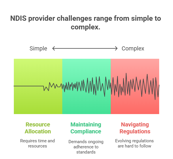 NDIS Internal Audit Cycle Image