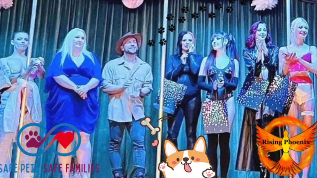 Performances, Pets, Production, Charity