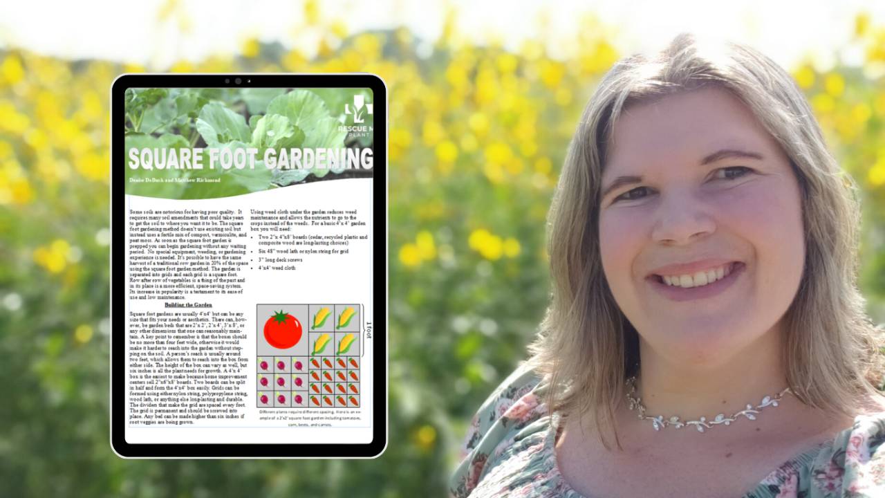 Square Foot Garden Guide