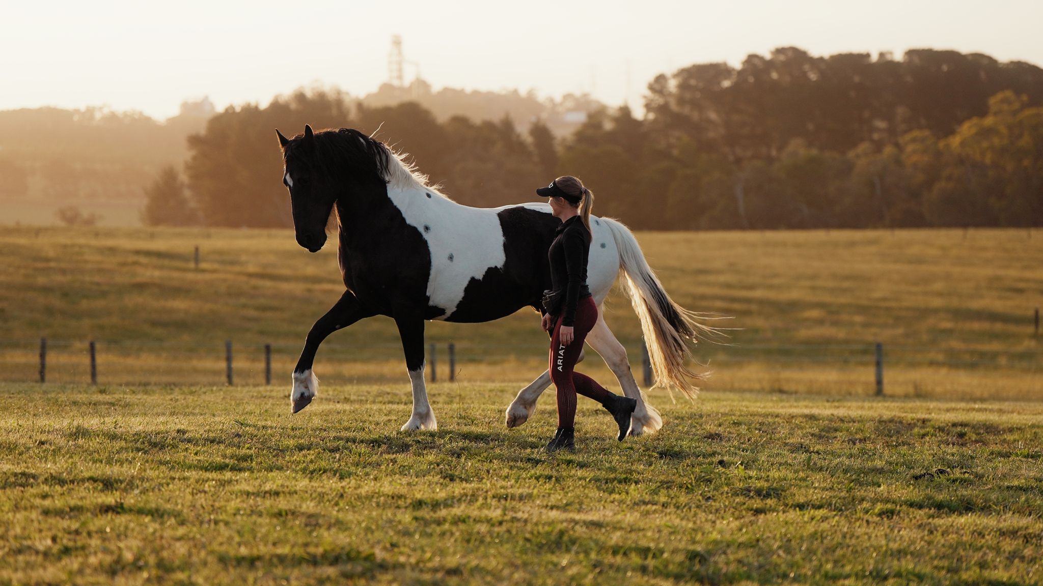 Nadine walking across a sunlit paddock in golden evening light beside her piebald horse, who is trotting freely at liberty with no halter or lead