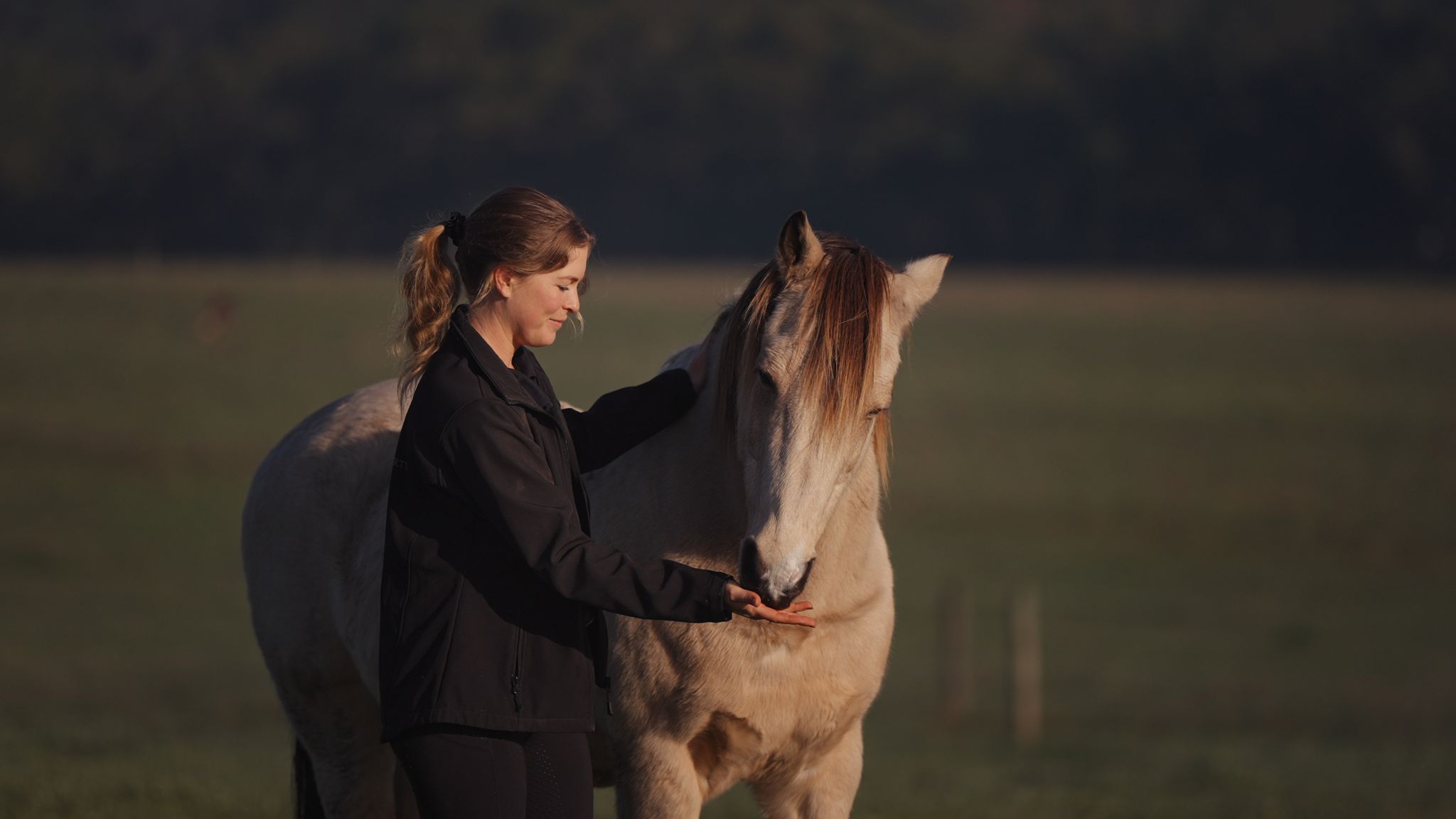 Nadine offering a food reward to a pale buckskin horse at dusk