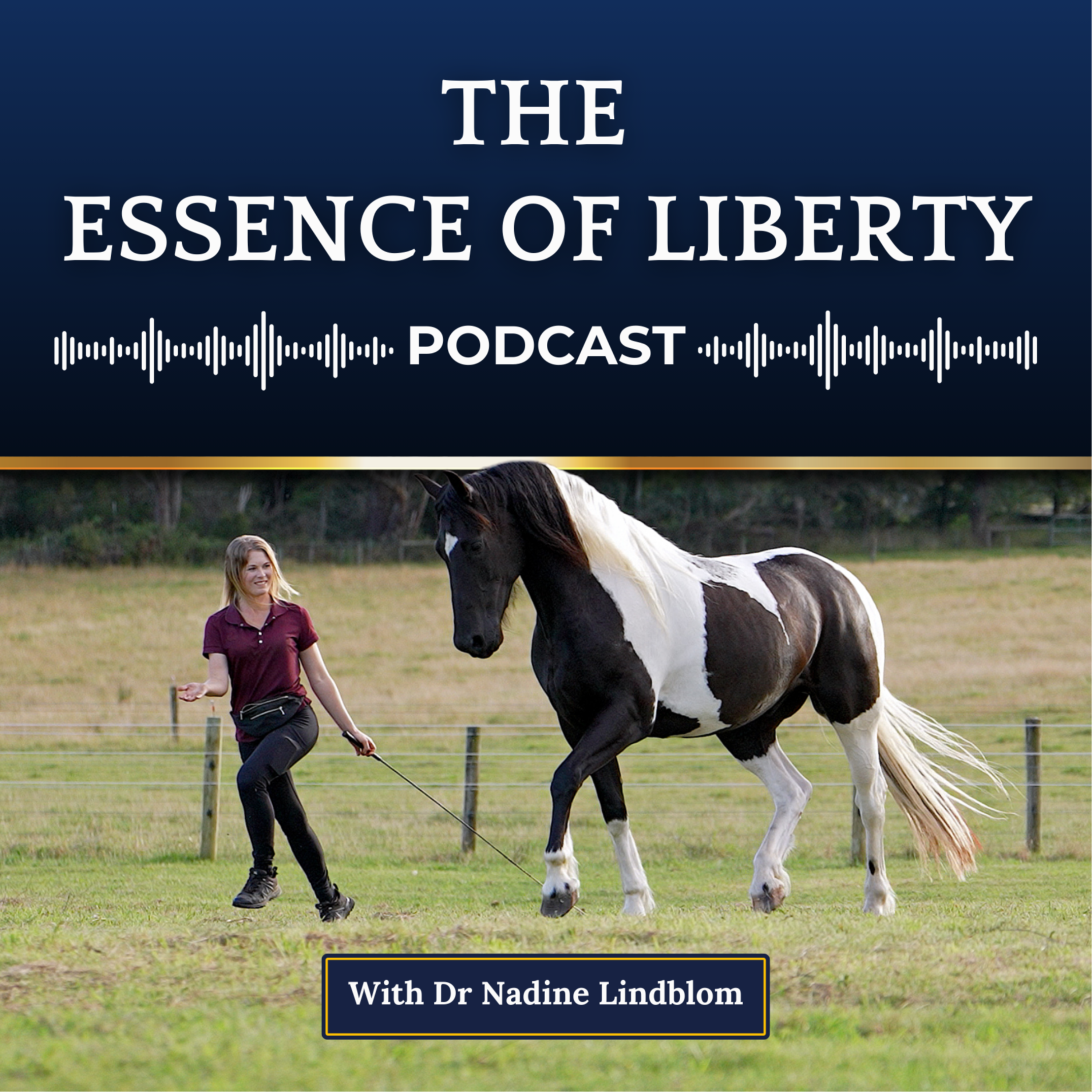 Episode Logo