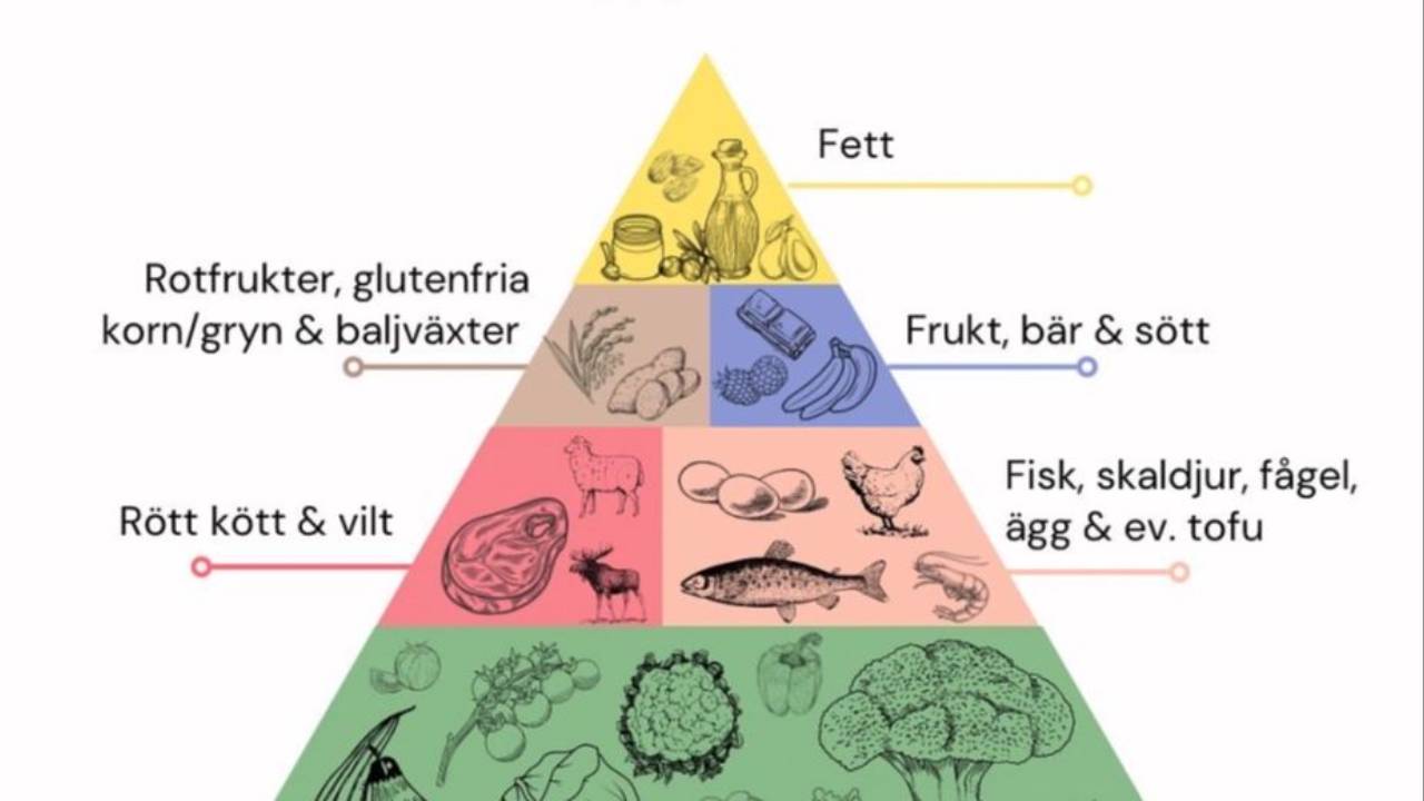 Matpyramid för ren och läkande mat