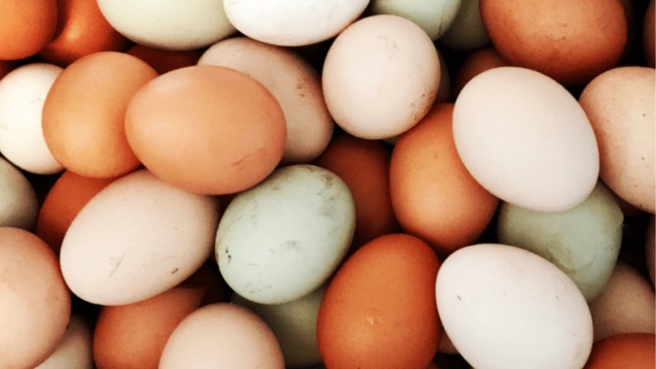Ägg och kolesterol