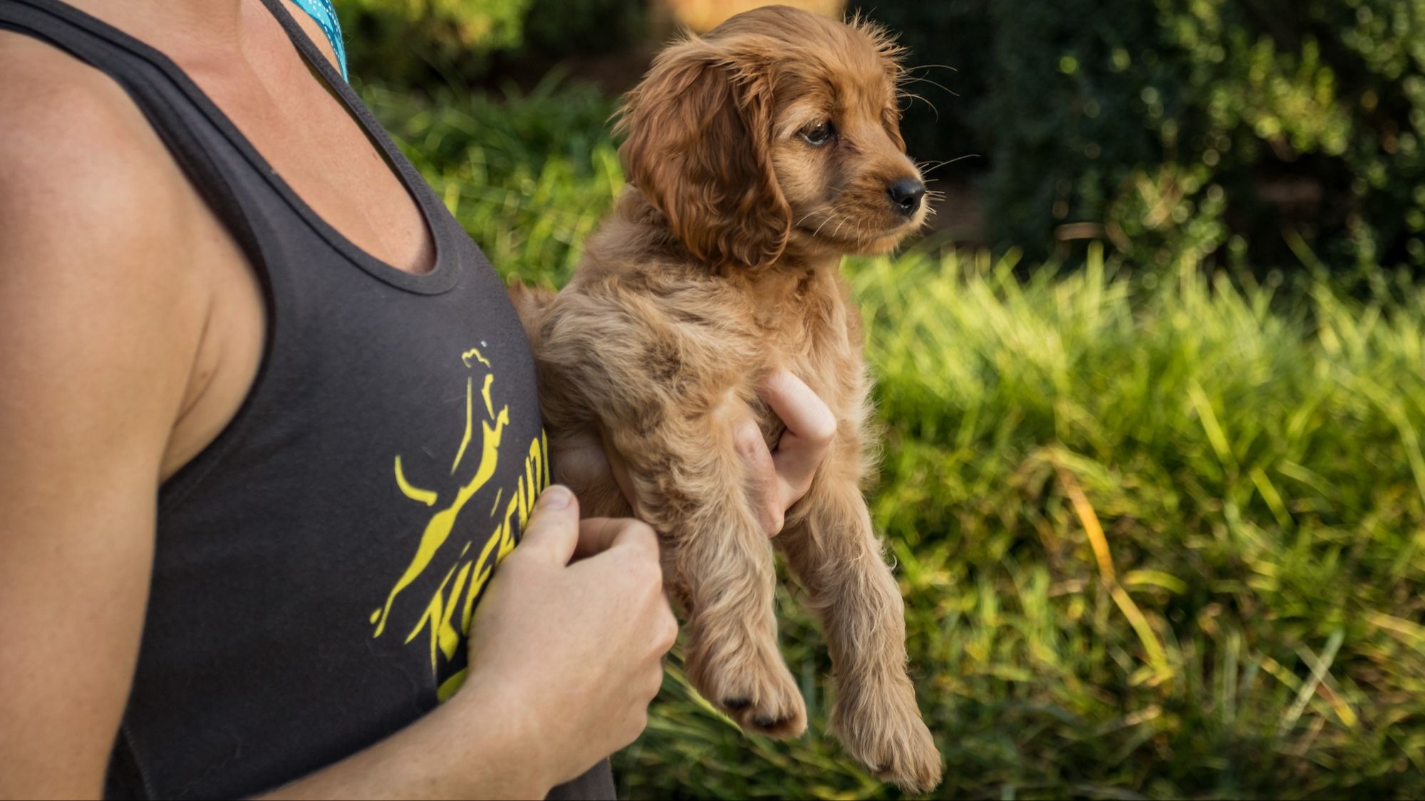 KeenDog trainer holding puppy in Charlotte, NC