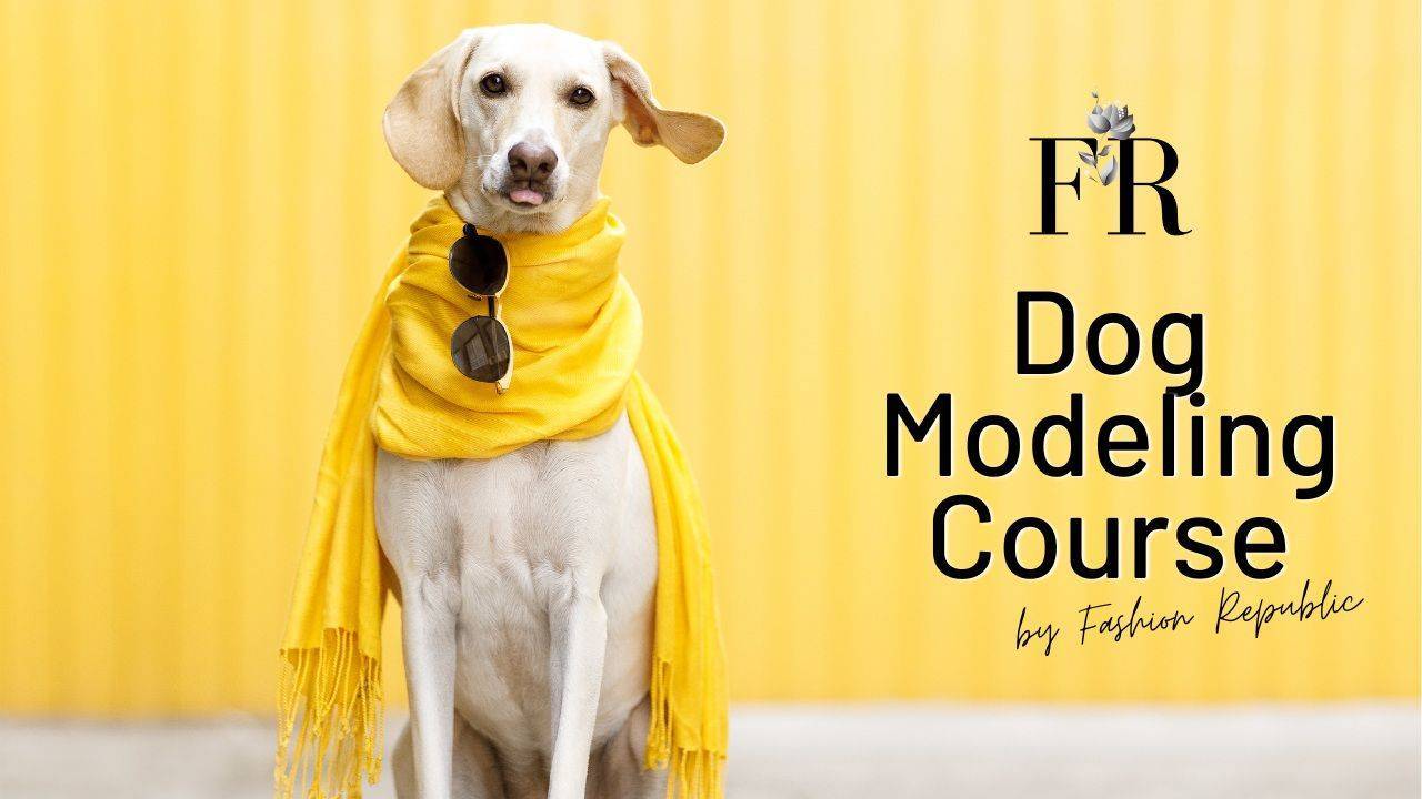 Dog Modeling Course dog-modeling-course
