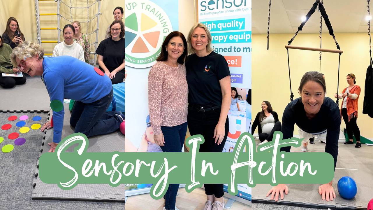 Sensory In Action Workshop | Occupational Therapy | OT | Australia