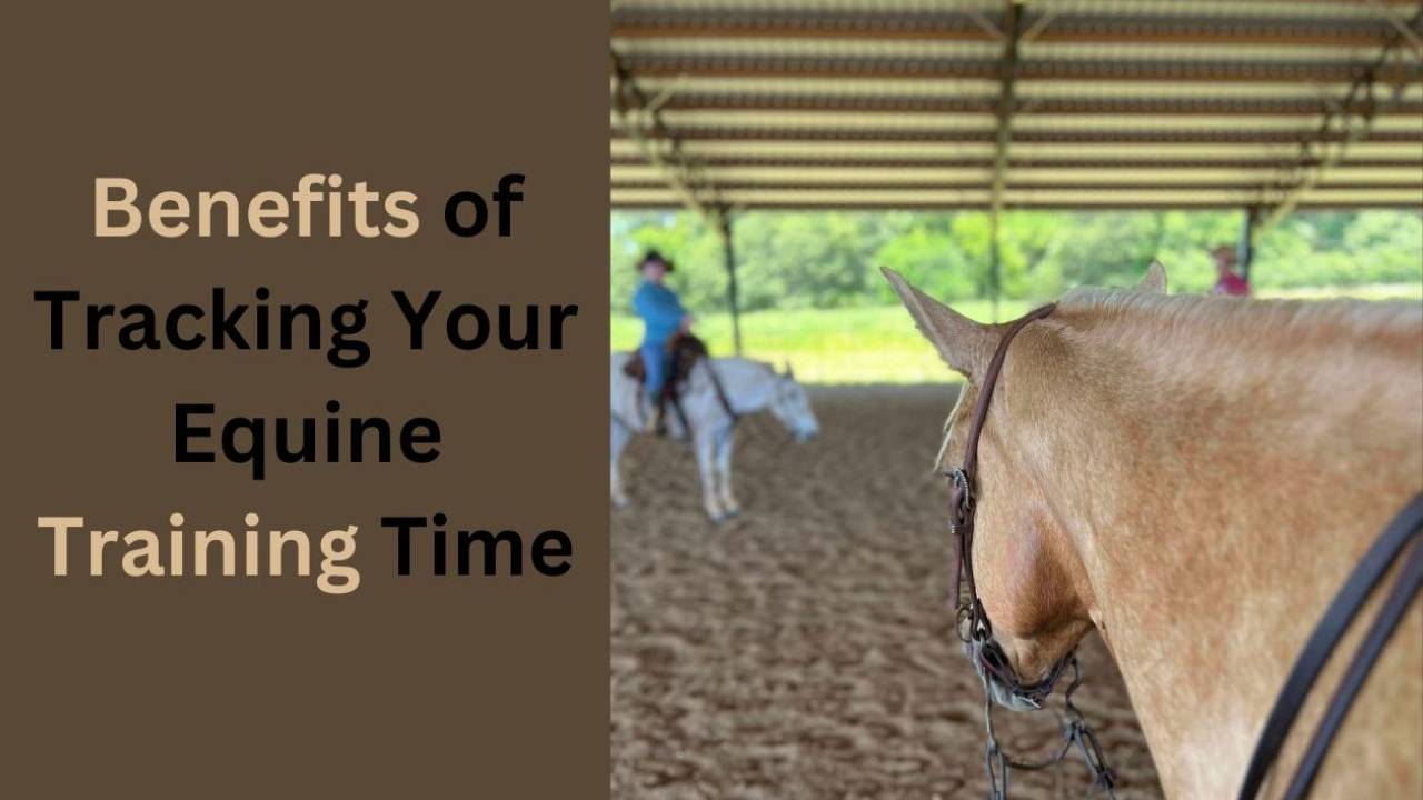 Benefits of Tracking Your Equine Training Time
