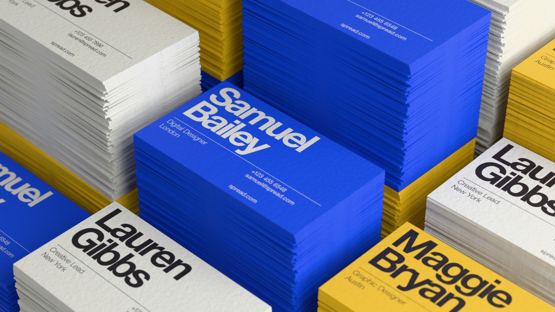 PROJECT 01 IMAGE - business card render