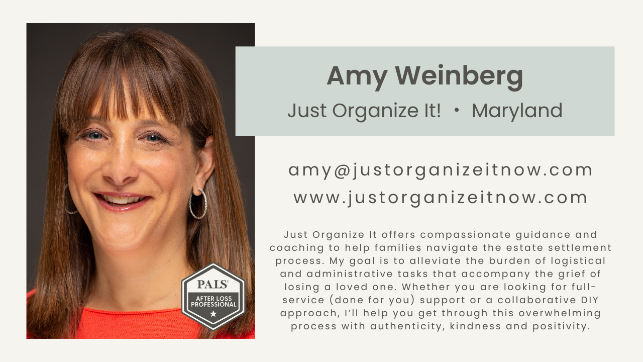 Amy Weinberg, Just Organize It