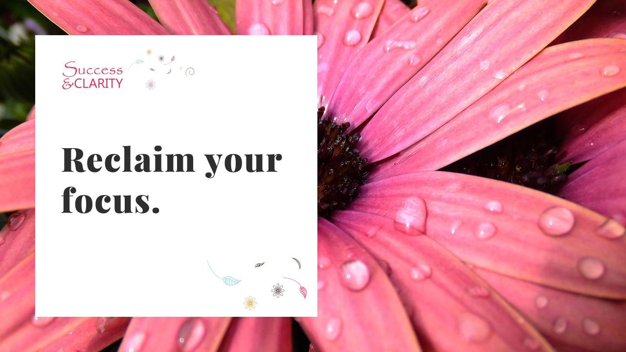 Reclaim Your Focus Success Clarity