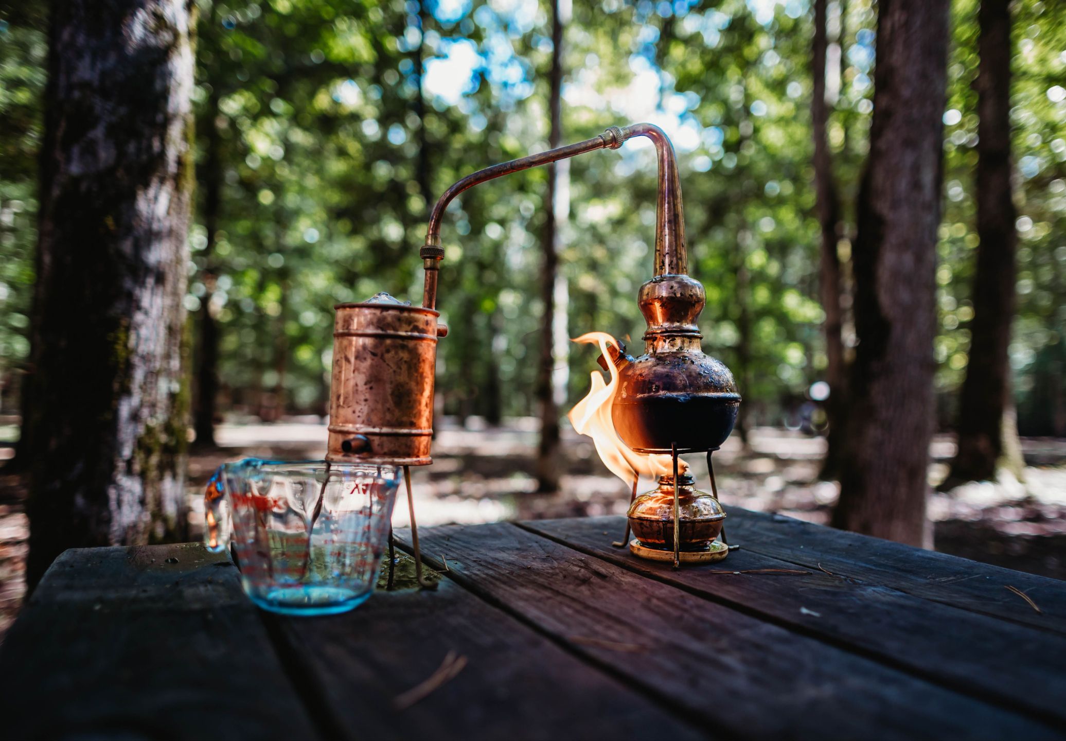Alcohol-Based Extracts