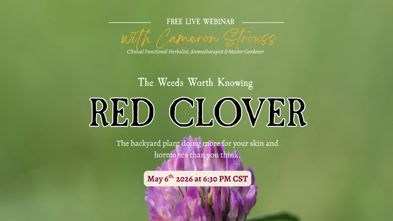 Free Webinar - Red Clover