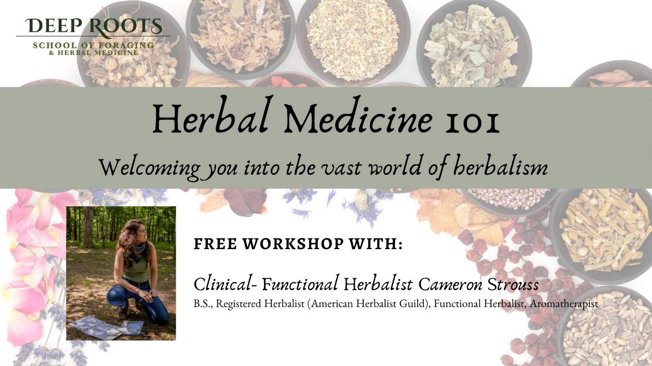 Confirmation Page Herbal Medicine 101