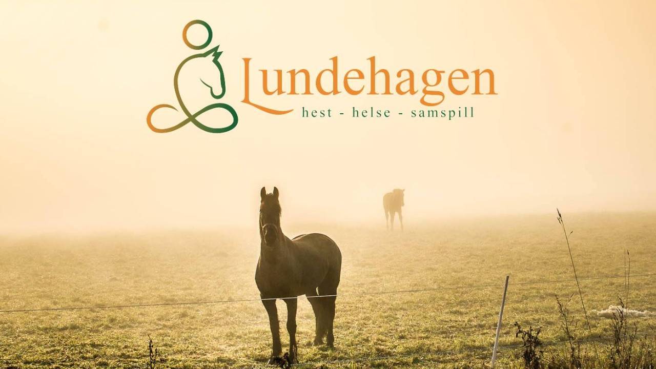 LUNDEHAGEN GÅRD V/ NORUNN KOGSTAD