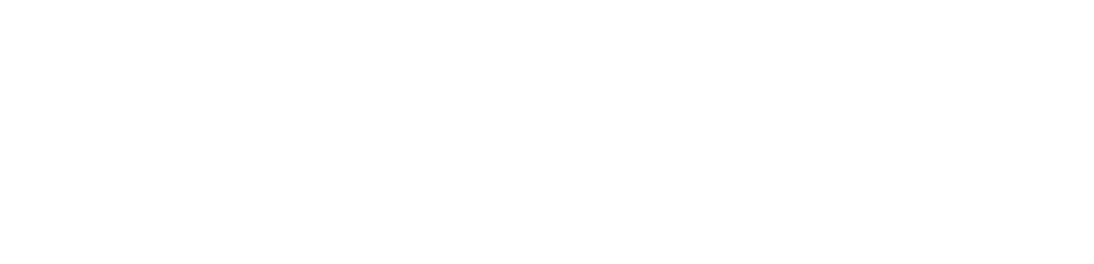 Dee Zibara Logo