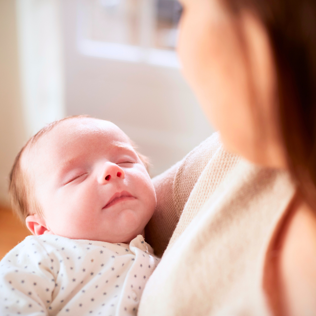 Navigating Naps Workshop baby nap schedule sleep coaching bonus