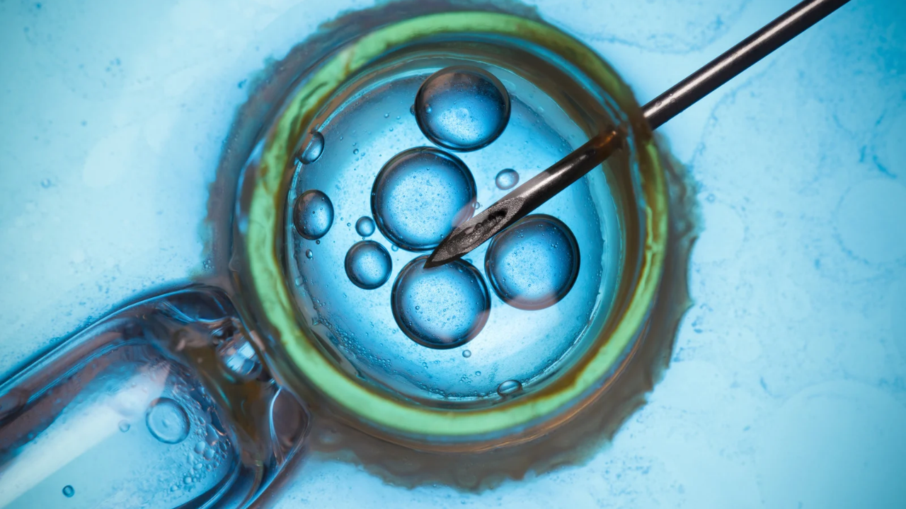 How Long Does IVF Take to Get Pregnant? 