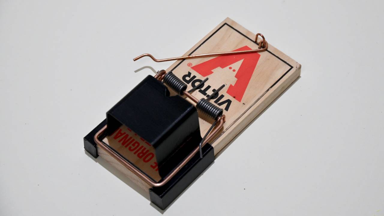 REAL Case Study of Twins Rat Hoodie In Action!