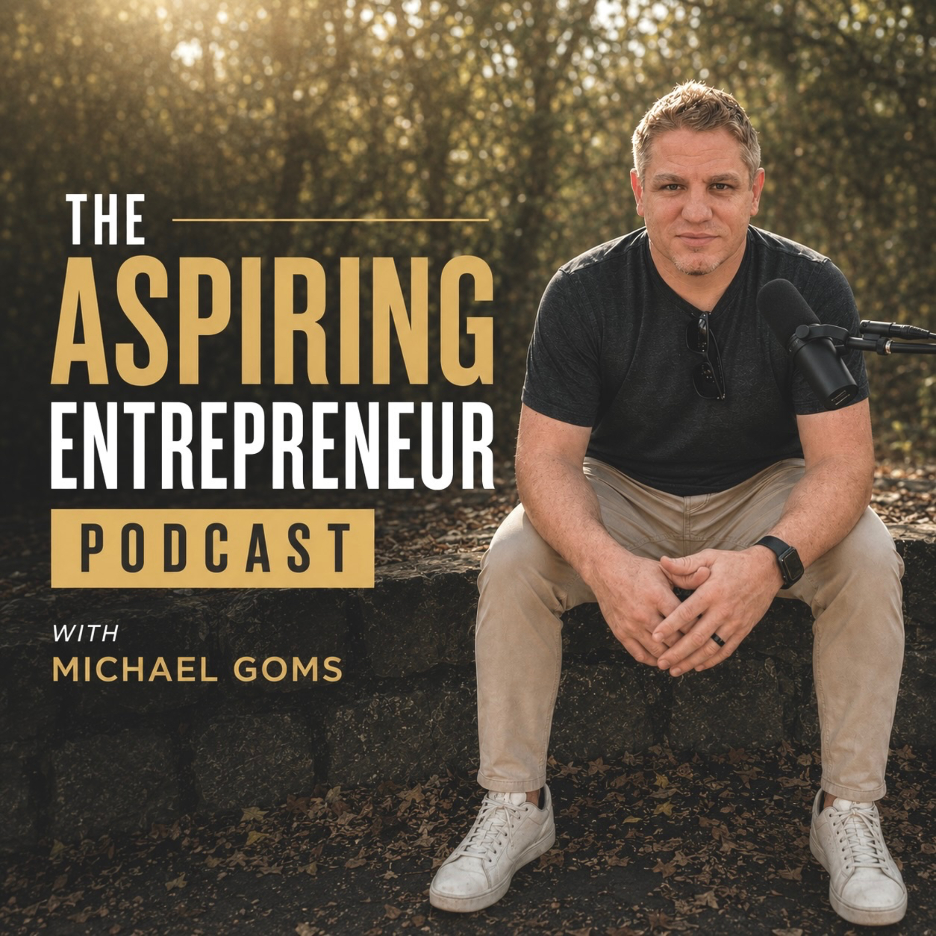 The Aspiring Entrepreneur Podcast