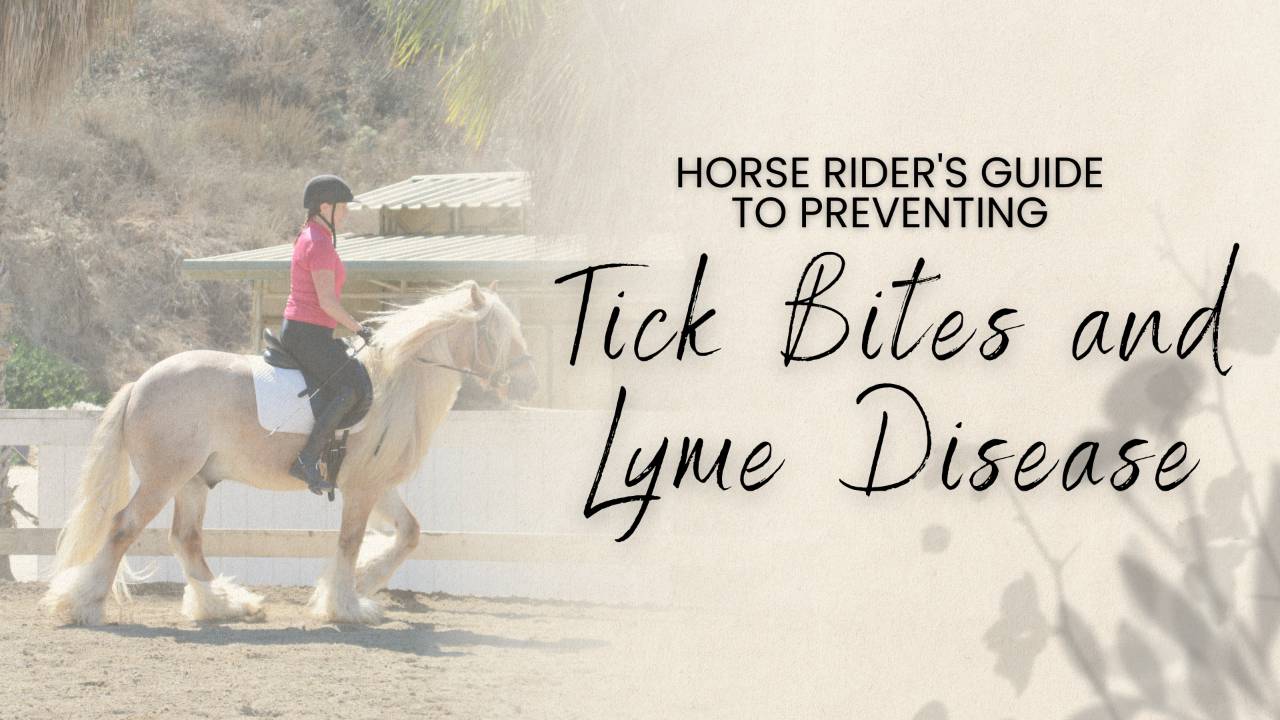 Horse Riders Guide to Avoiding Tick Bites and Lyme Disease