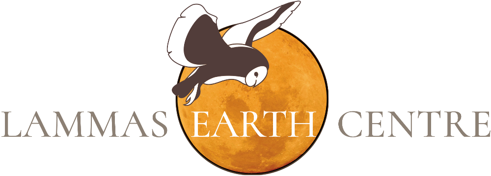 Header Logo