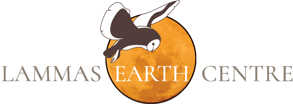 Header Logo