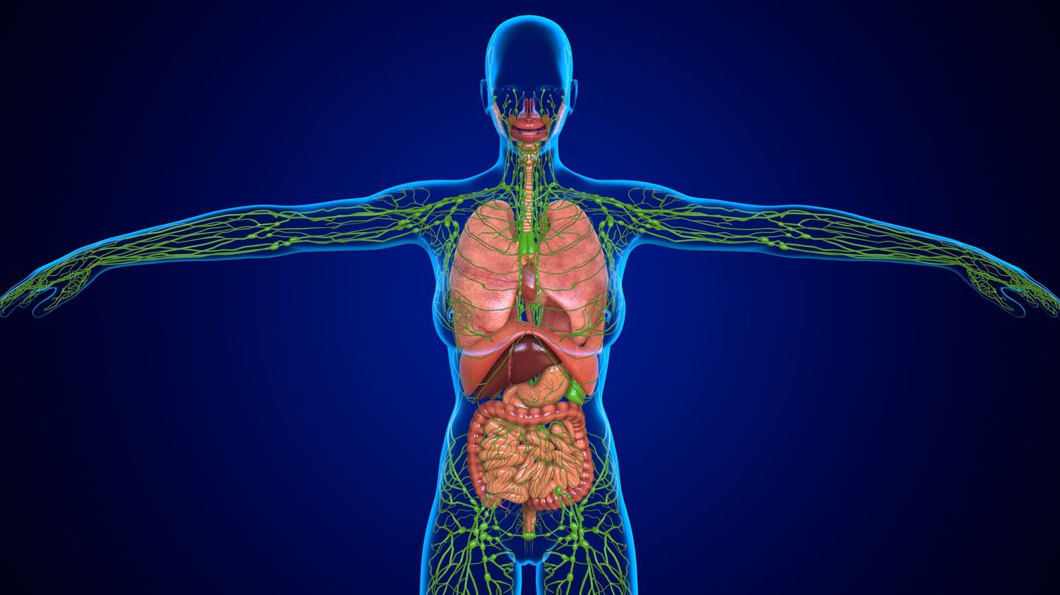 The Lymphatic Pump: The Most Overlooked Waste Management System in Fitness