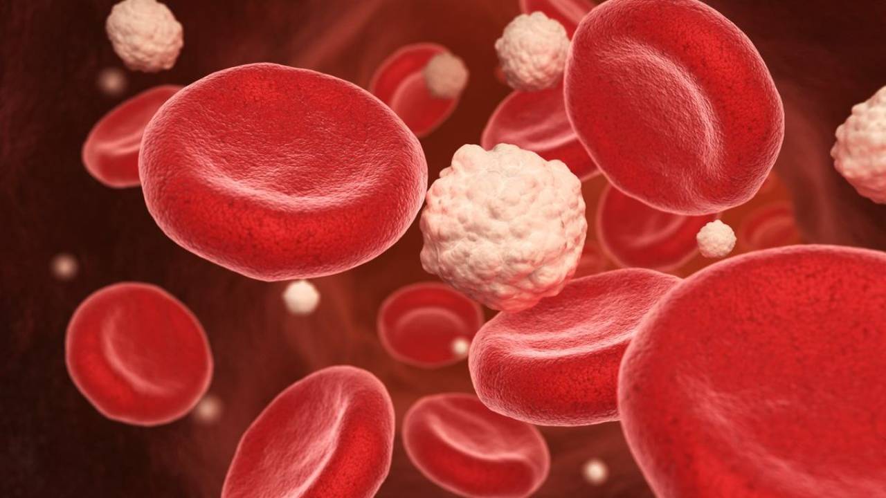 HbA1c Demystified: The Three-Month Window Into Metabolic Health