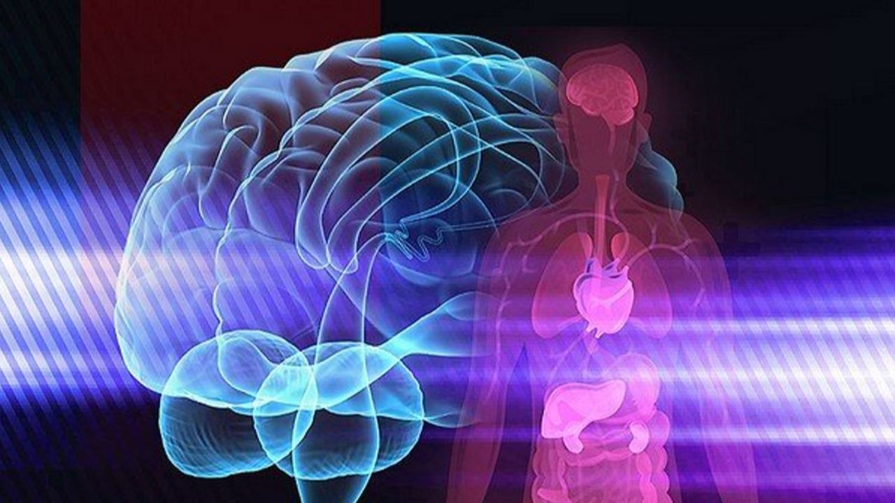 Training the Sixth Sense of Fitness