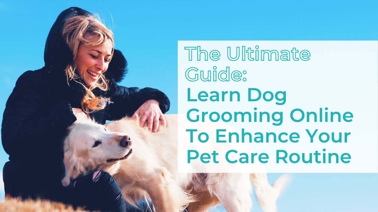 The Ultimate Guide Learn Dog Grooming Online