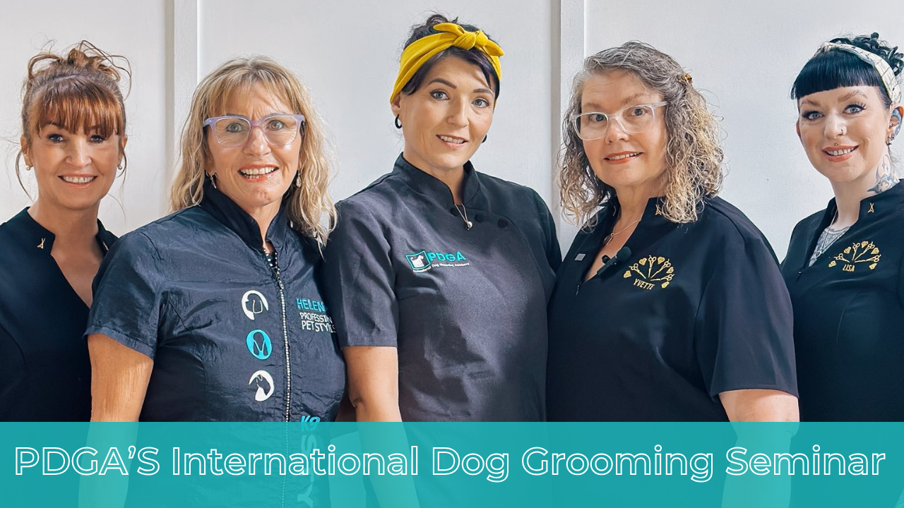 Four World-Class Dog Groomers