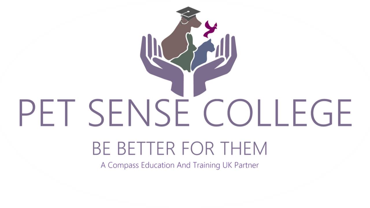 Professional Dog Grooming Academy Pet Sense College