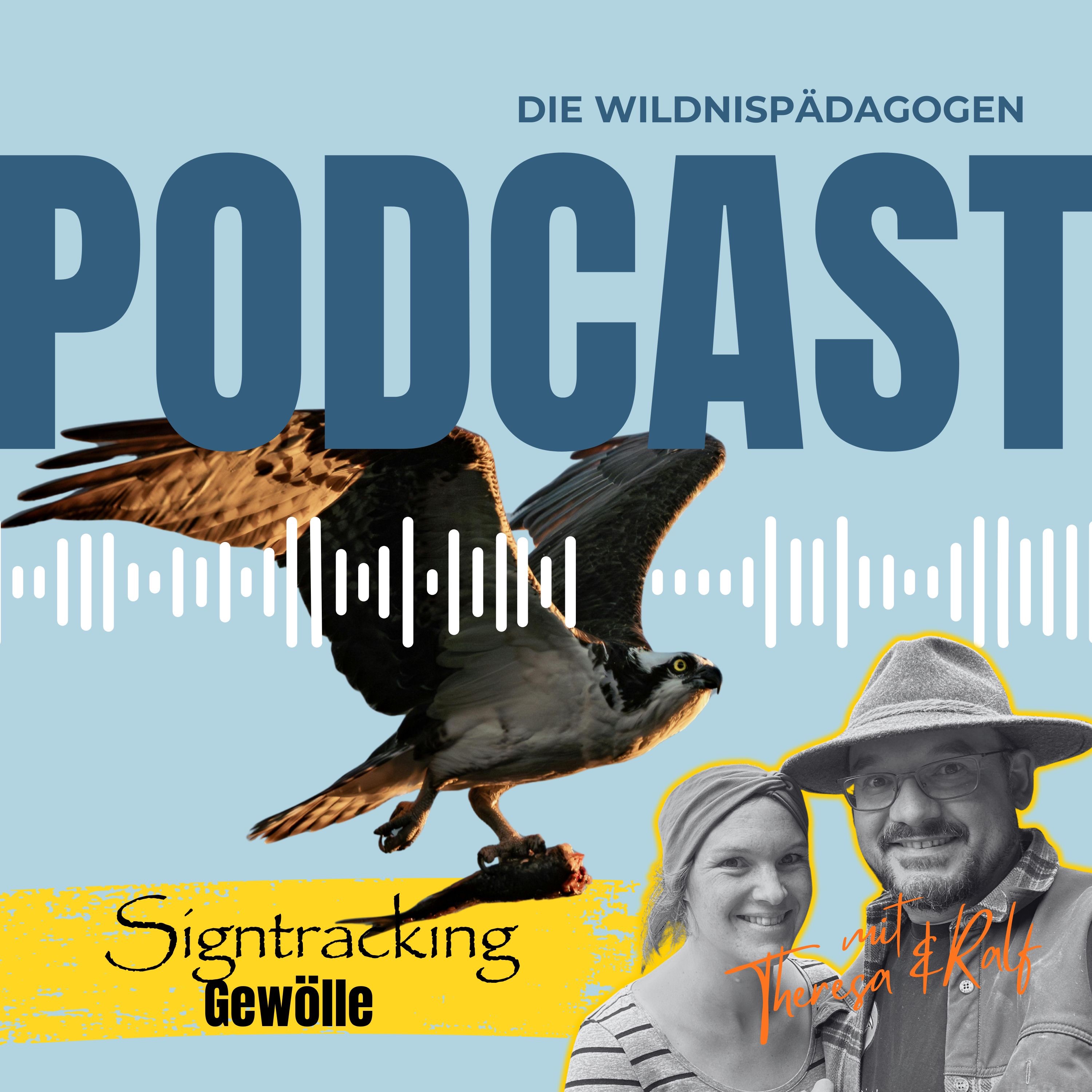 Gewölle entschlüsseln: Fenster in die Greifvogelwelt und was sie über die Welt verraten | Sign Tracking und Fährtenlesen episode artwork