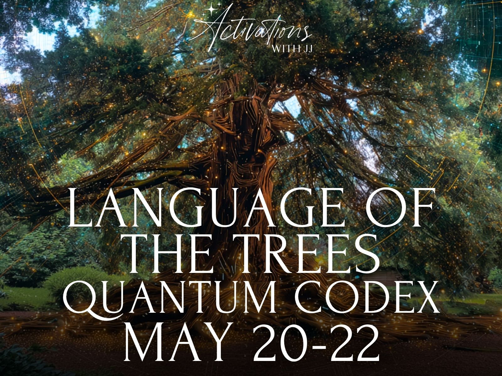 eleven quantum codex