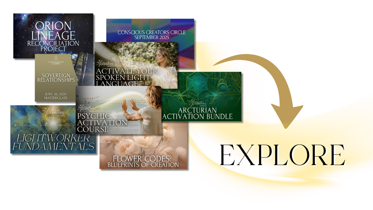 Explore rotating courses, masterclasses, workshops and activations