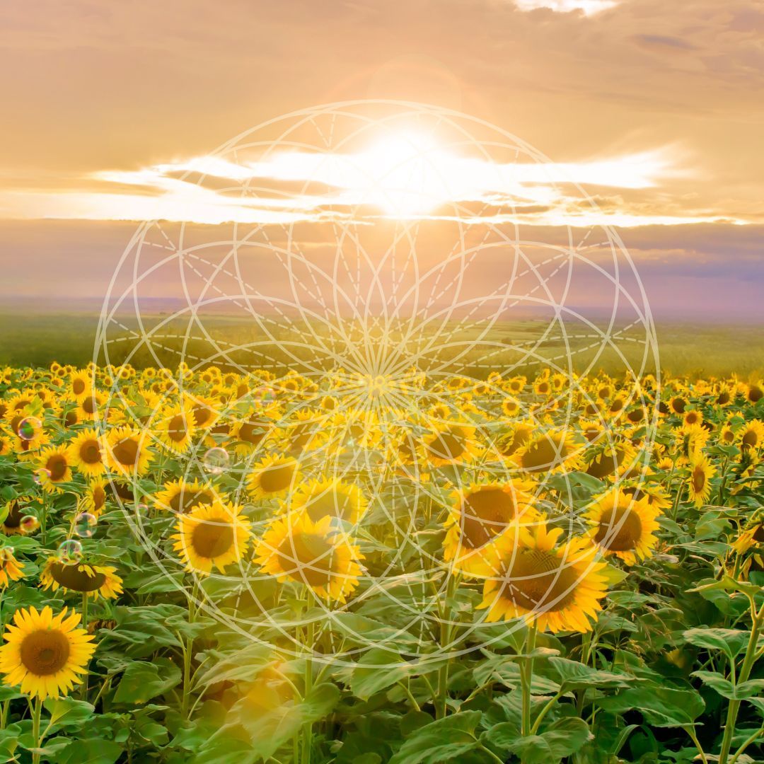 abundance